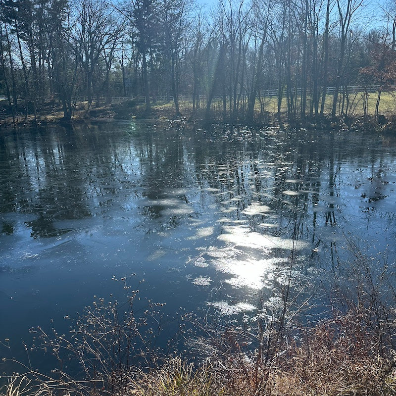 Early March,2024 Knitapestry Newsletter