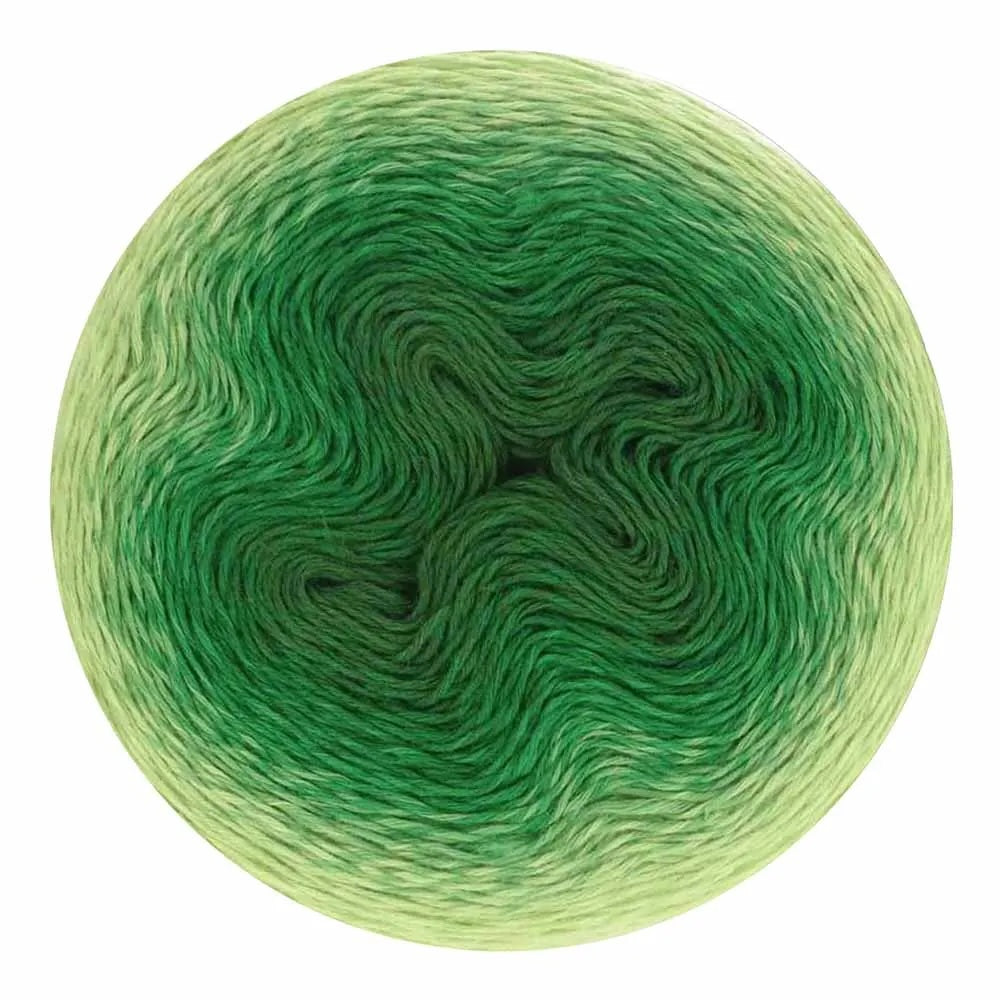 Scheepjes Whirl