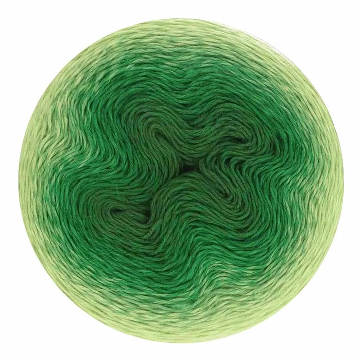 Scheepjes Whirl