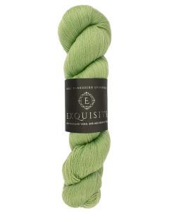 WYS Exquisite Lace
