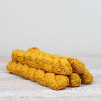 Fibre Co. Amble 25g