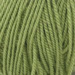 Plymouth Yarns Encore
