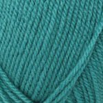 Plymouth Yarns Encore