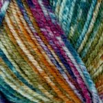 Plymouth Yarns Encore