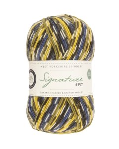 WYS Signature 4ply sock yarn