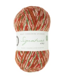 WYS Signature 4ply sock yarn