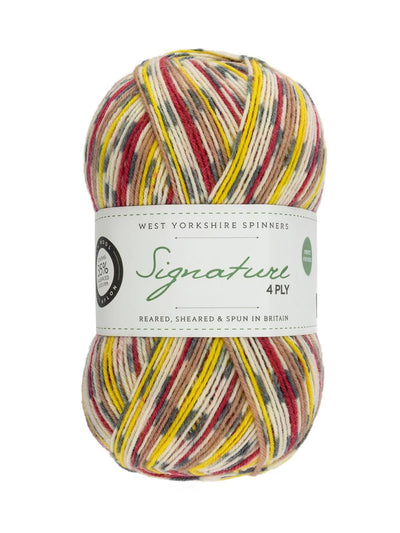 WYS Signature 4ply sock yarn