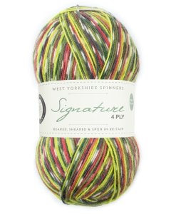 WYS Signature 4ply sock yarn
