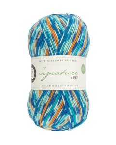 WYS Signature 4ply sock yarn