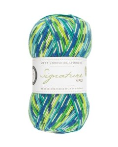 WYS Signature 4ply sock yarn