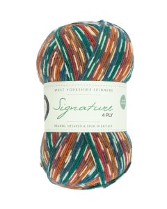 WYS Signature 4ply sock yarn