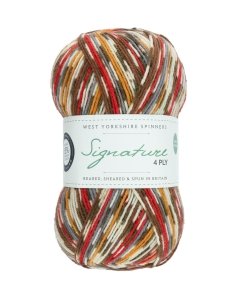 WYS Signature 4ply sock yarn