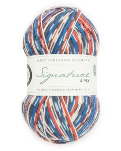 WYS Signature 4ply sock yarn