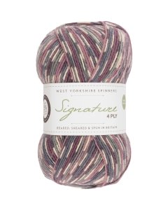 WYS Signature 4ply sock yarn
